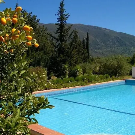 The Walnut Tree * 凯法米洛斯